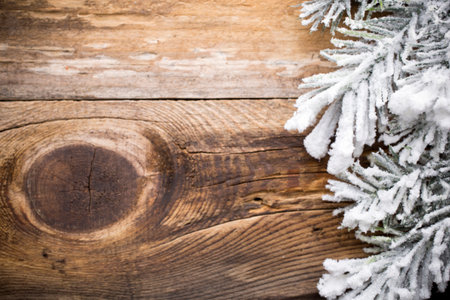 Christams greeting card. Pine tree on the wood ackground.の写真素材
