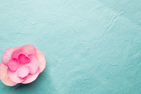 Pink flower, macro shoot, greeting card.の写真素材