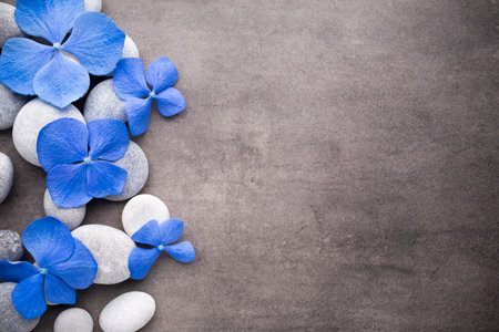 Spa stones treatment scene, zen like concepts.の写真素材