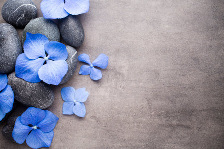 Spa stones treatment scene, zen like concepts.の写真素材