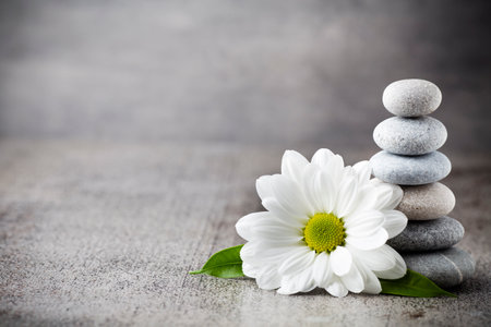 Spa stones with flowerの写真素材