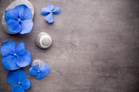 Spa stones treatment scene, zen like concepts.の写真素材