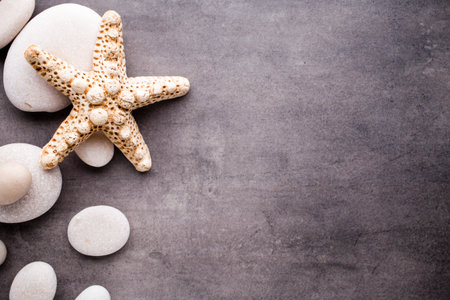 Starfish on gray stone surface. Travel background.の写真素材