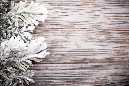 Christams greeting card. Pine tree on the wood ackground.の写真素材