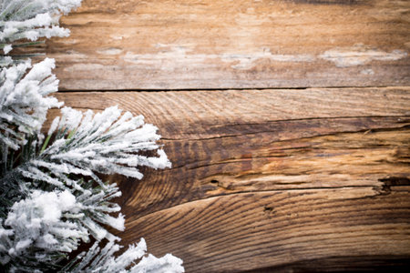 Christams greeting card. Pine tree on the wood ackground.の写真素材