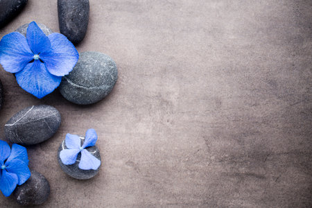 Spa stones treatment scene, zen like concepts.の写真素材