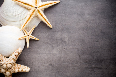 Starfish on gray stone surfaceの写真素材