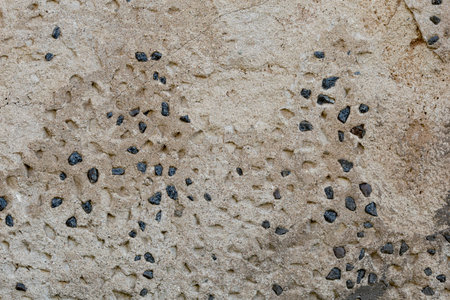 Old wooden textured, background wall plank.の写真素材