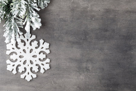 Fir tree covered with snow on gray board.の写真素材
