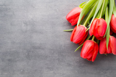 Red tulips on a wooden background.の写真素材