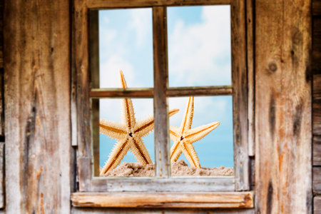 Wooden window frame, spring, flowering trees.の写真素材