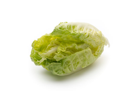Salad n the isolated white background.の写真素材