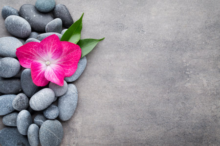 Spa stones and flowers, on grey background.の写真素材