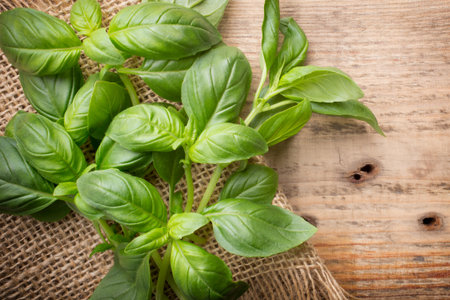 Bunch fresh basil on a wooden background. Aromatic spice.の写真素材