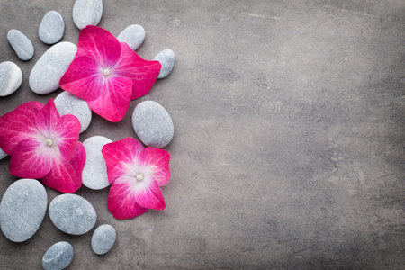 Spa stones and flowers, on grey background.の写真素材