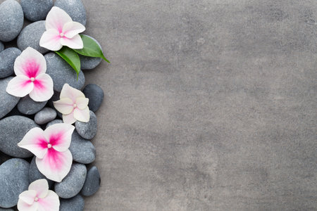 Close up view of spa theme objects on grey background.の写真素材
