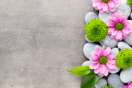 Spa stone and flowers on grey background.の写真素材