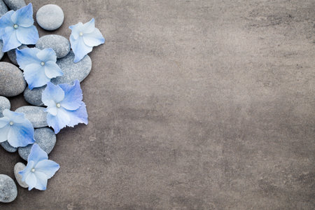 Spa stones and flowers on grey background.の写真素材