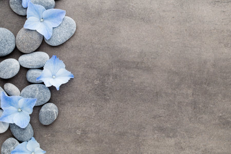 Spa stones and flowers on grey background.の写真素材