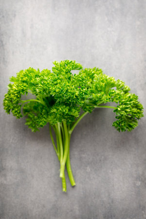 Green parsley on dark slate, background.の写真素材