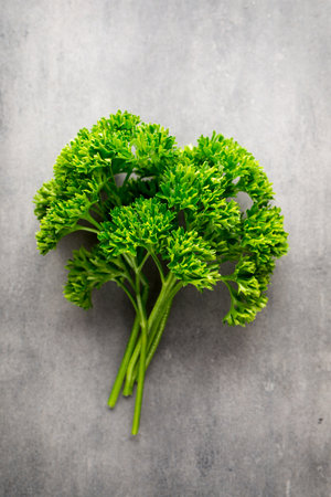 Green, fresh parsley on gray metal surface.の写真素材