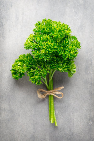 Green, fresh parsley on gray metal surface.の写真素材