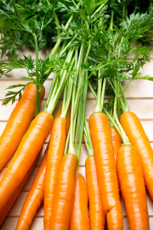 Fresh carrots on the gray backgrounds.の写真素材
