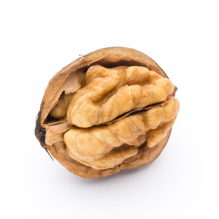 Walnut and walnut kernel isolated on the white background.