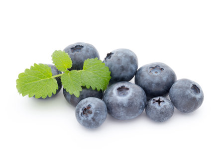 blueberries isolated fresh juisy blueberries isolated on white background.の写真素材
