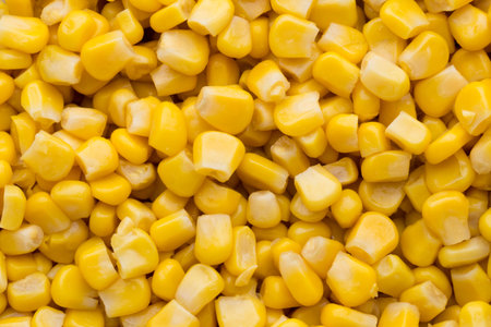 Closeup of tinned whole kernel corn, it could be used as background