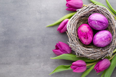 Spring greeting card. Easter eggs in the nest und tulip. Gray background.の写真素材