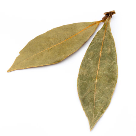 Aromatic bay leaves on white background.の写真素材