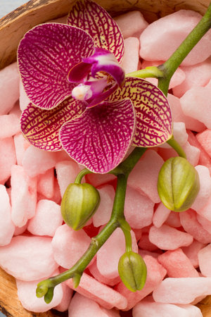 Sea salt on a wooden background with orchid flower.の写真素材