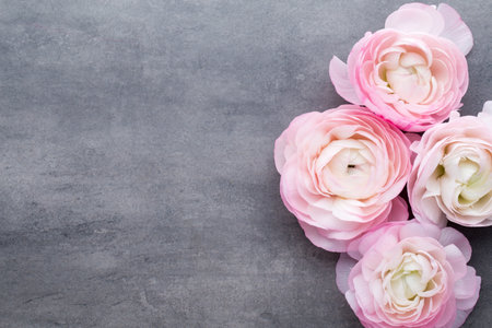 Beautiful flowers on a gray background.の写真素材