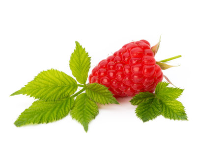 Raspberries isolated on white background.