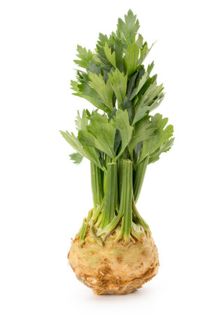 Fresh celery root with leaf isolated on white background.