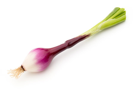 Red onion isolated on the white background.の写真素材
