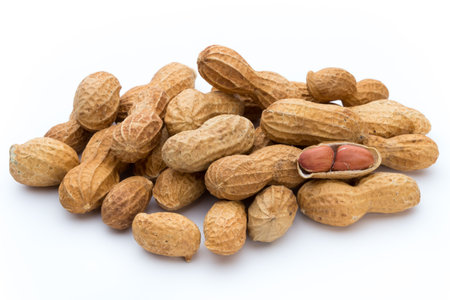 Dried peanuts on the white background.の写真素材