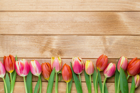 Spring greetings card with tulips for Easter, Mother's Day.の写真素材