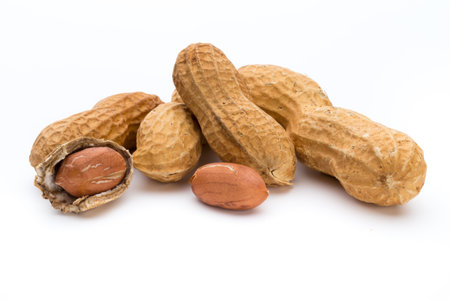 Dried peanuts on the white background.の写真素材