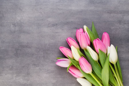 Pink tulip and ribbon, pink eeg. Easter day background.の写真素材
