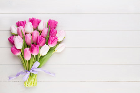 Pink tulip on the white background. Easter and spring greeting card.の写真素材