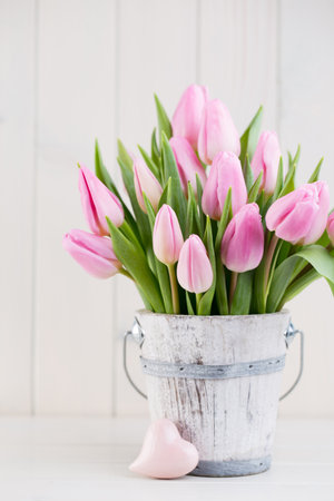 Spring easter tulips in bucket on white vintage background.の写真素材