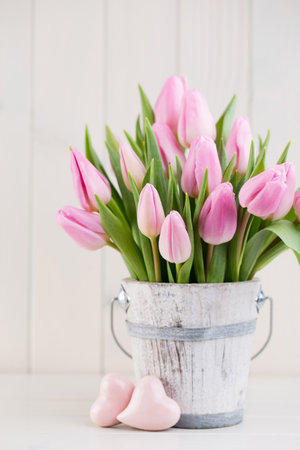 Spring easter tulips in bucket on white vintage background.の写真素材