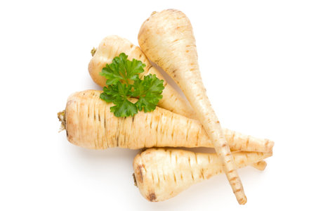Parsnip and persley isolated on the white background.の写真素材