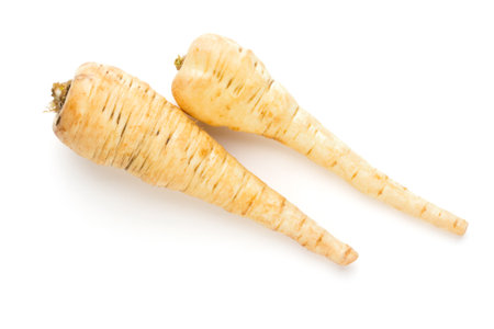 Parsnip and persley isolated on the white background.の写真素材