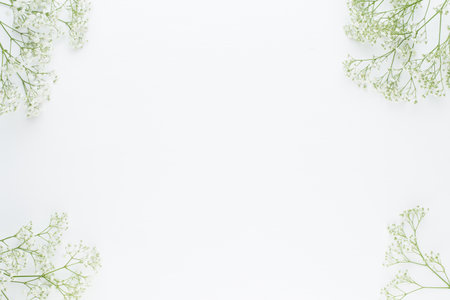 Flowers composition. Gypsophila flowers on pastel pink background. Flat lay, top view, copy spaceの写真素材