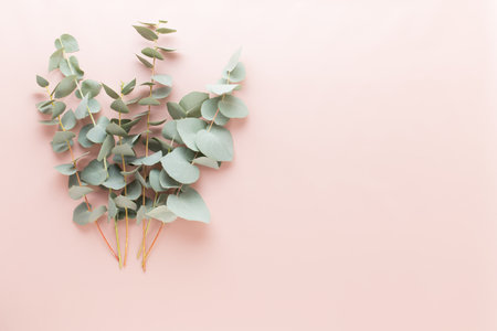 Flowers and eucaaliptus composition. Pattern made of various colorful flowers on white background. Flat lay stiil life.の写真素材
