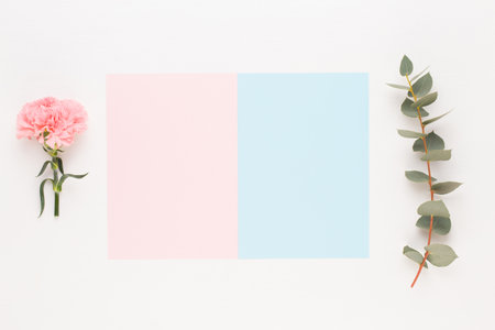 Flowers composition. Paper blank, flowers, eucalyptus branches on pastelの写真素材