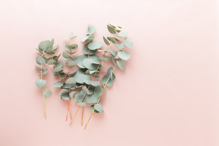 Flowers and eucaaliptus composition. Pattern made of various colorful flowers on whiteの写真素材